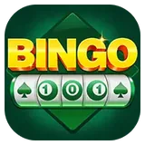 Bingo 101 logo